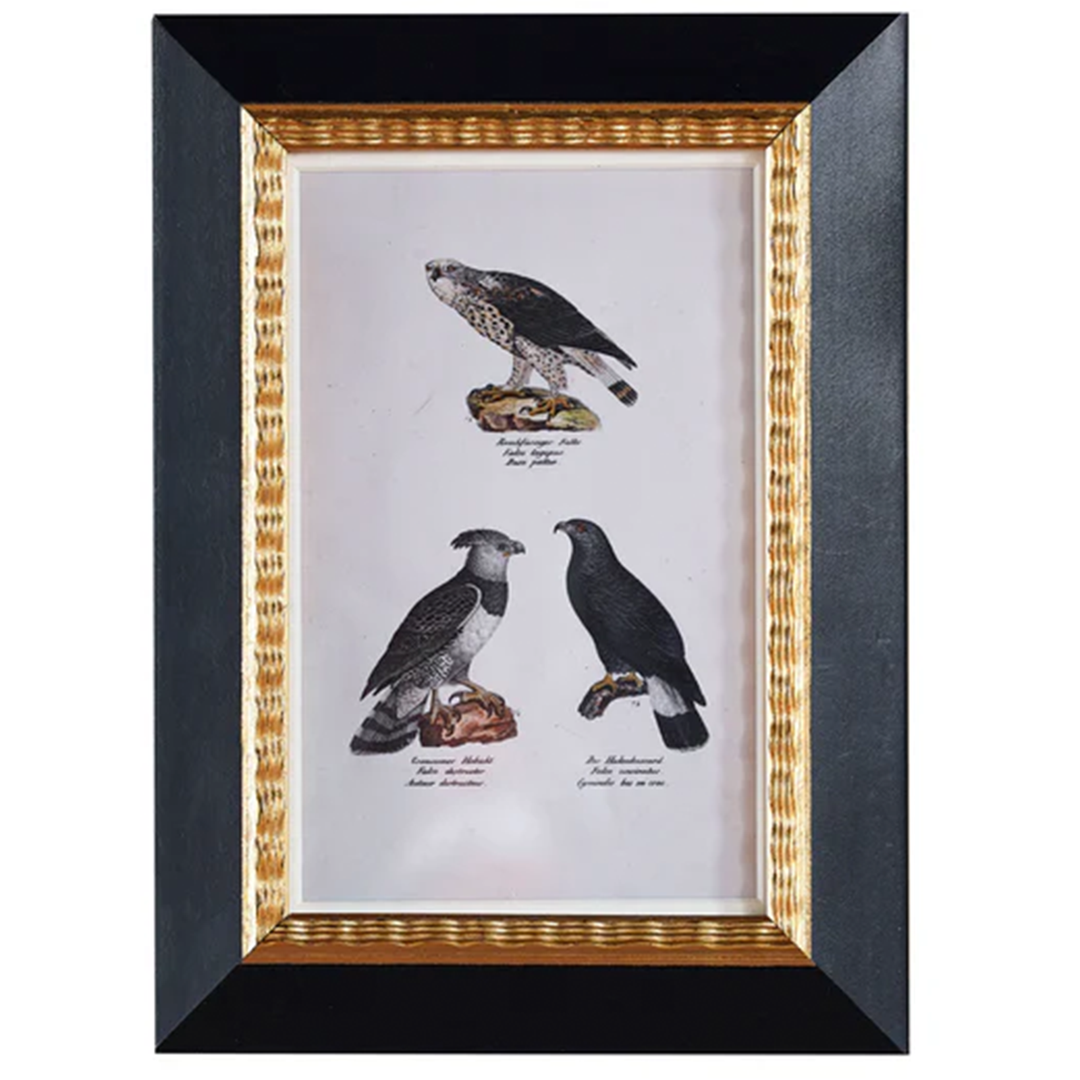 Andover Matted Frame