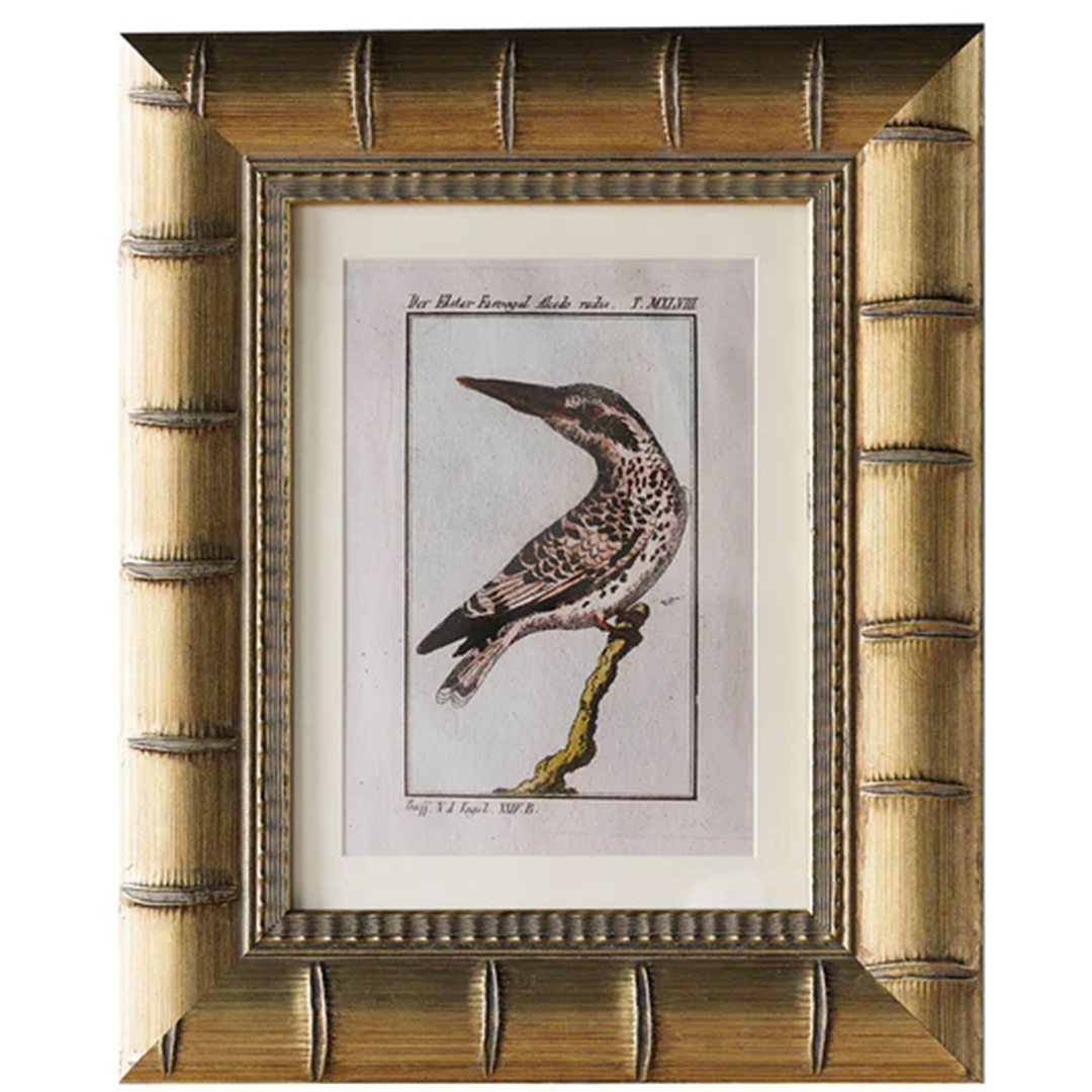 9" x 12" Brixham Matted Frame