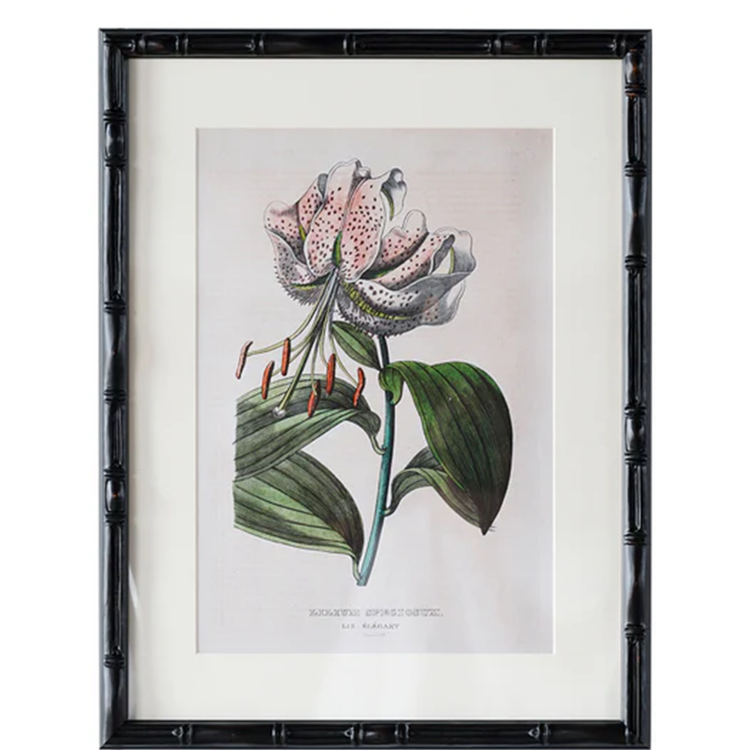 12" x 16" Castleford Matted Frame