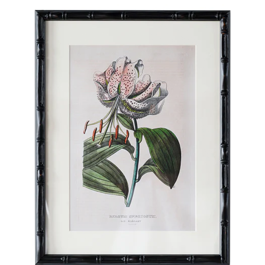 12" x 16" Castleford Matted Frame