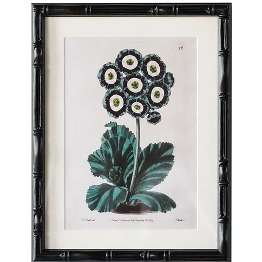 9" x 12" Castleford Matted Frame