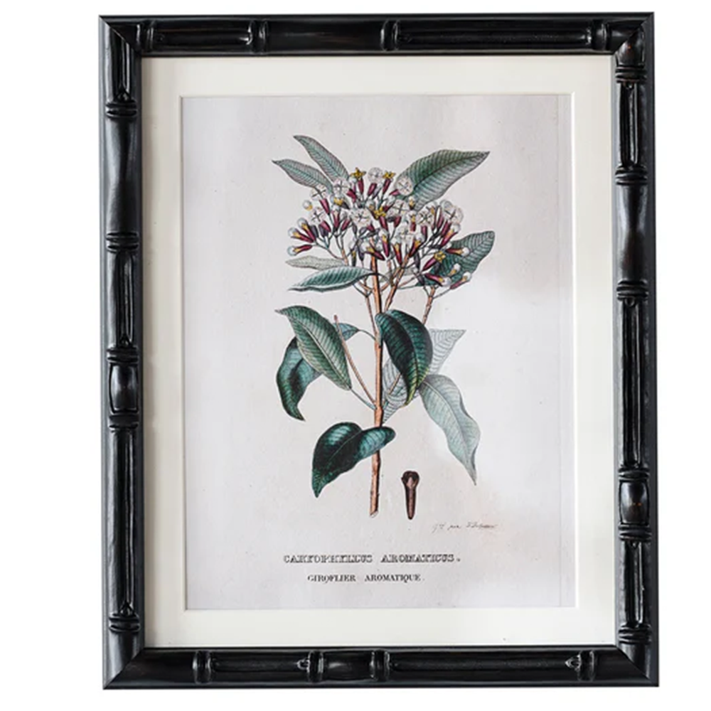 8" x 10" Castleford Matted Frame