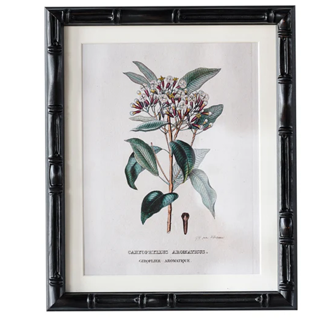 8" x 10" Castleford Matted Frame