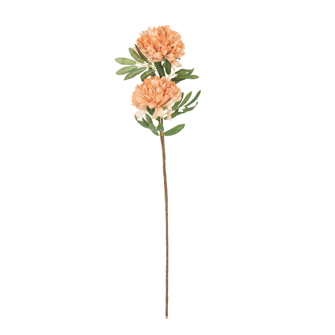 Botanica #3567