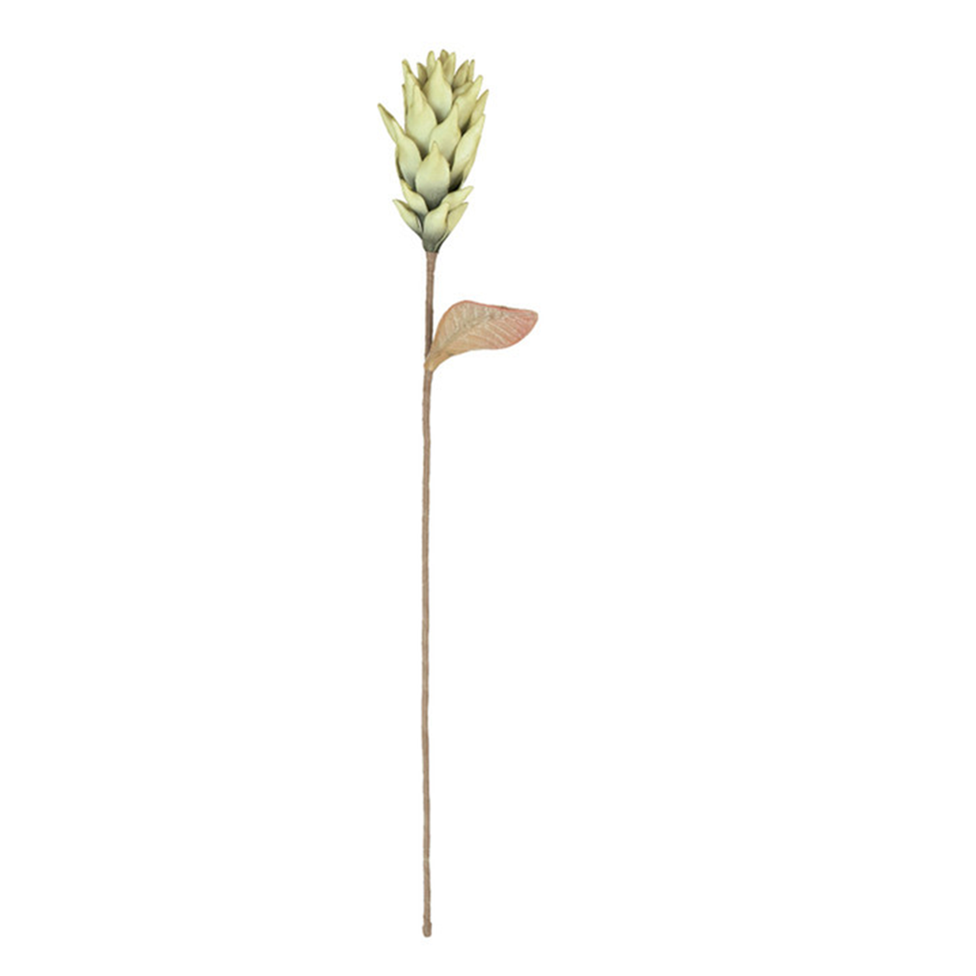 Botanica #3580