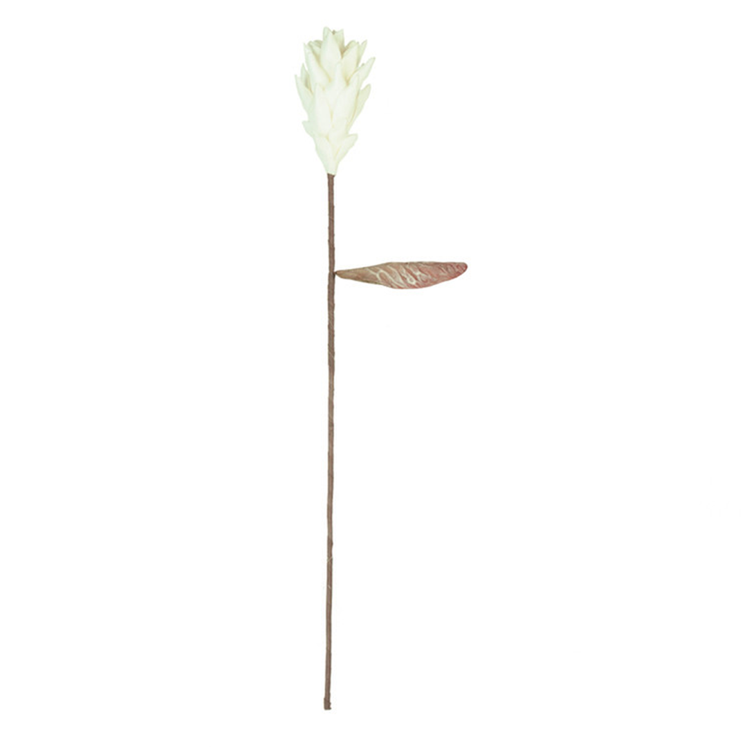 Botanica #3584