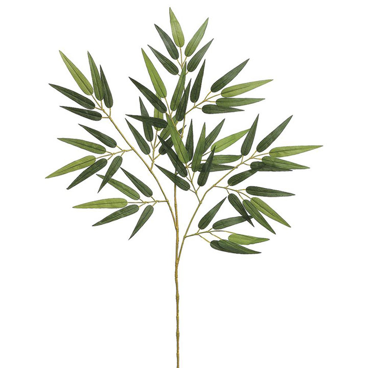 Bamboo Branch