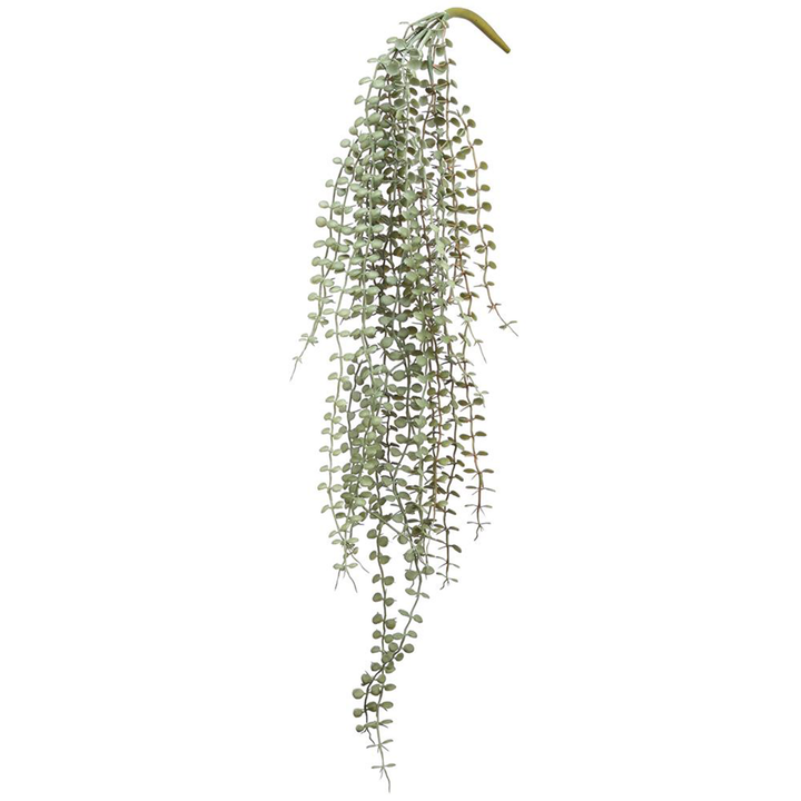 Button Leaf Stem