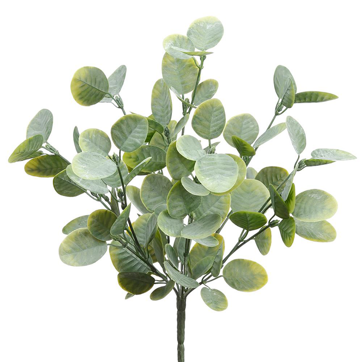 Cotinus Leaf Bush