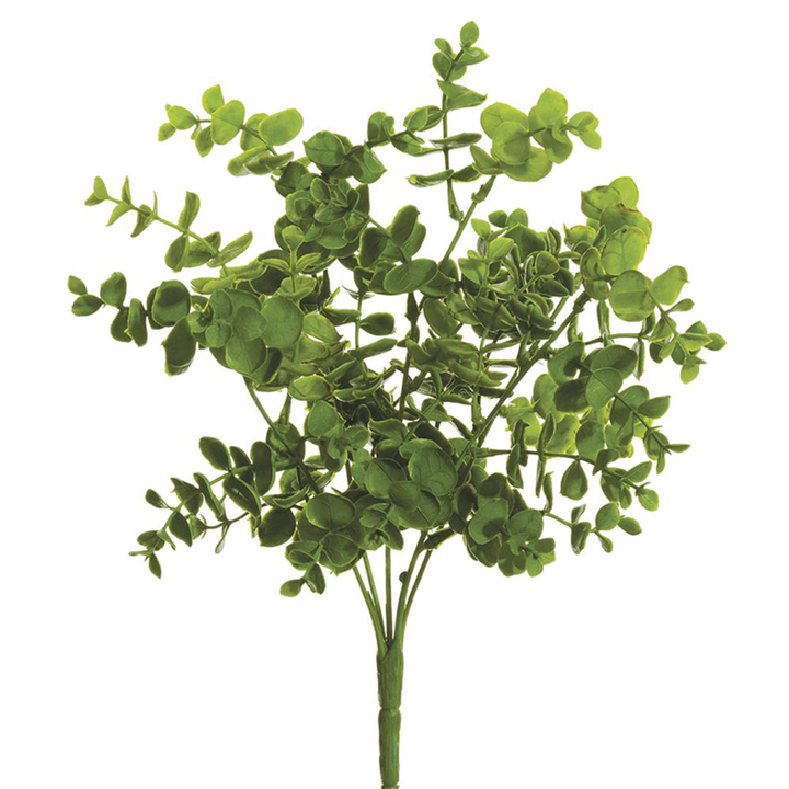 Soft Eucalyptus Bush