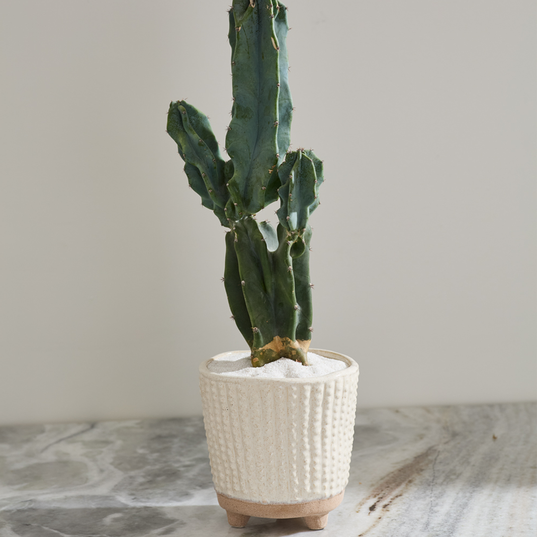 Footed Pot - Cream