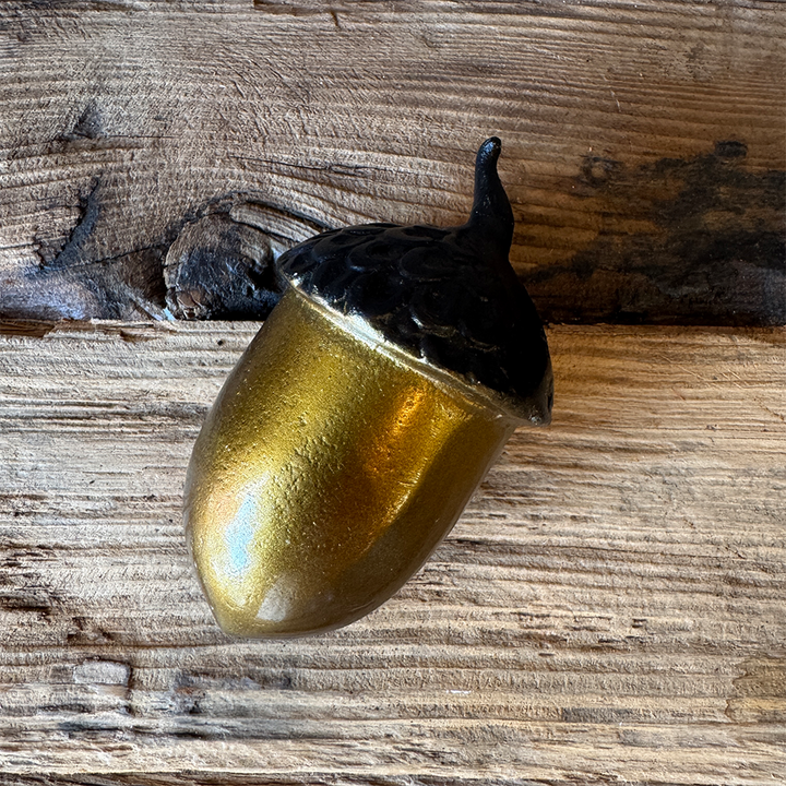5" Acorn