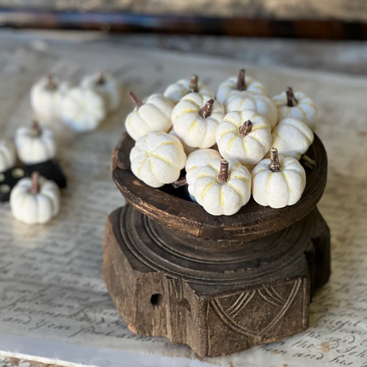 Pumpkins - Cream