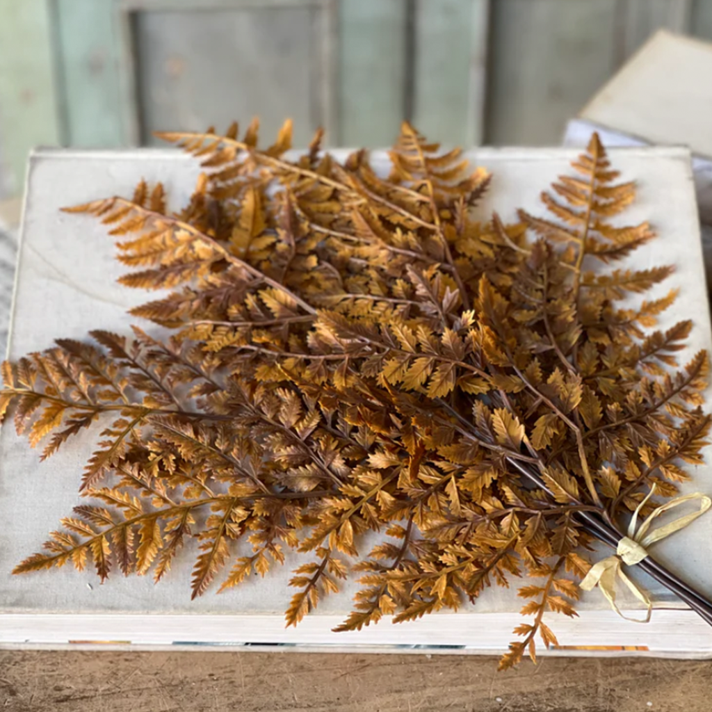 Fern Bundle - Cinnamon