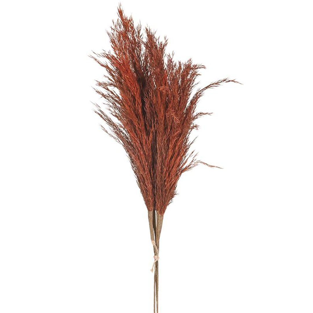 28" Pampas Grass - Brown