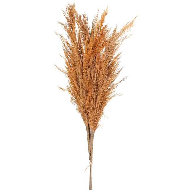 28" Pampas Grass - Orange