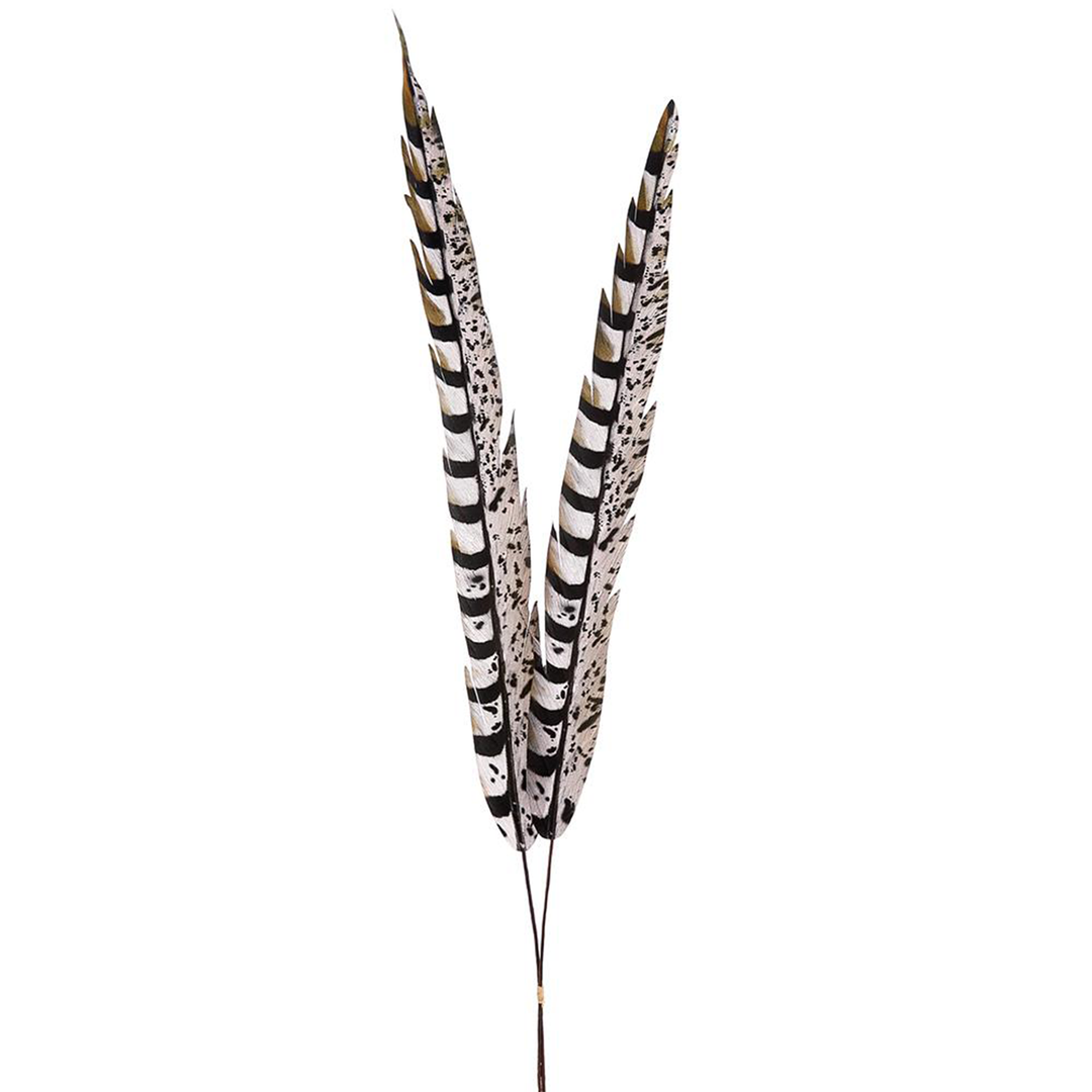 Pheasant Feather Bundle