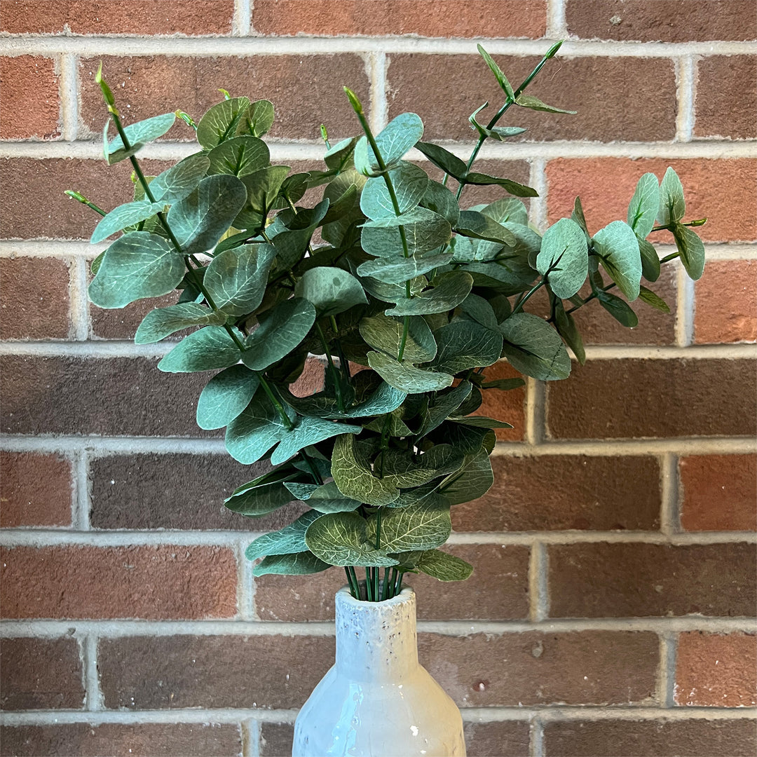 Eucalyptus Leaf Bush