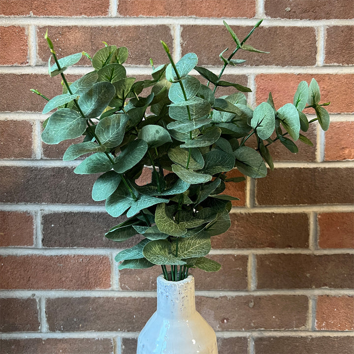 Eucalyptus Leaf Bush