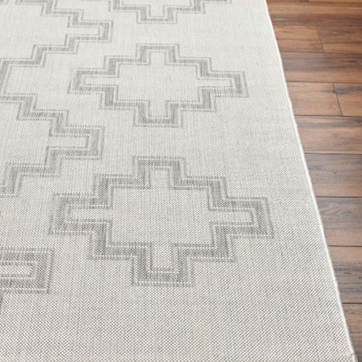 Orali Outdoor Rug