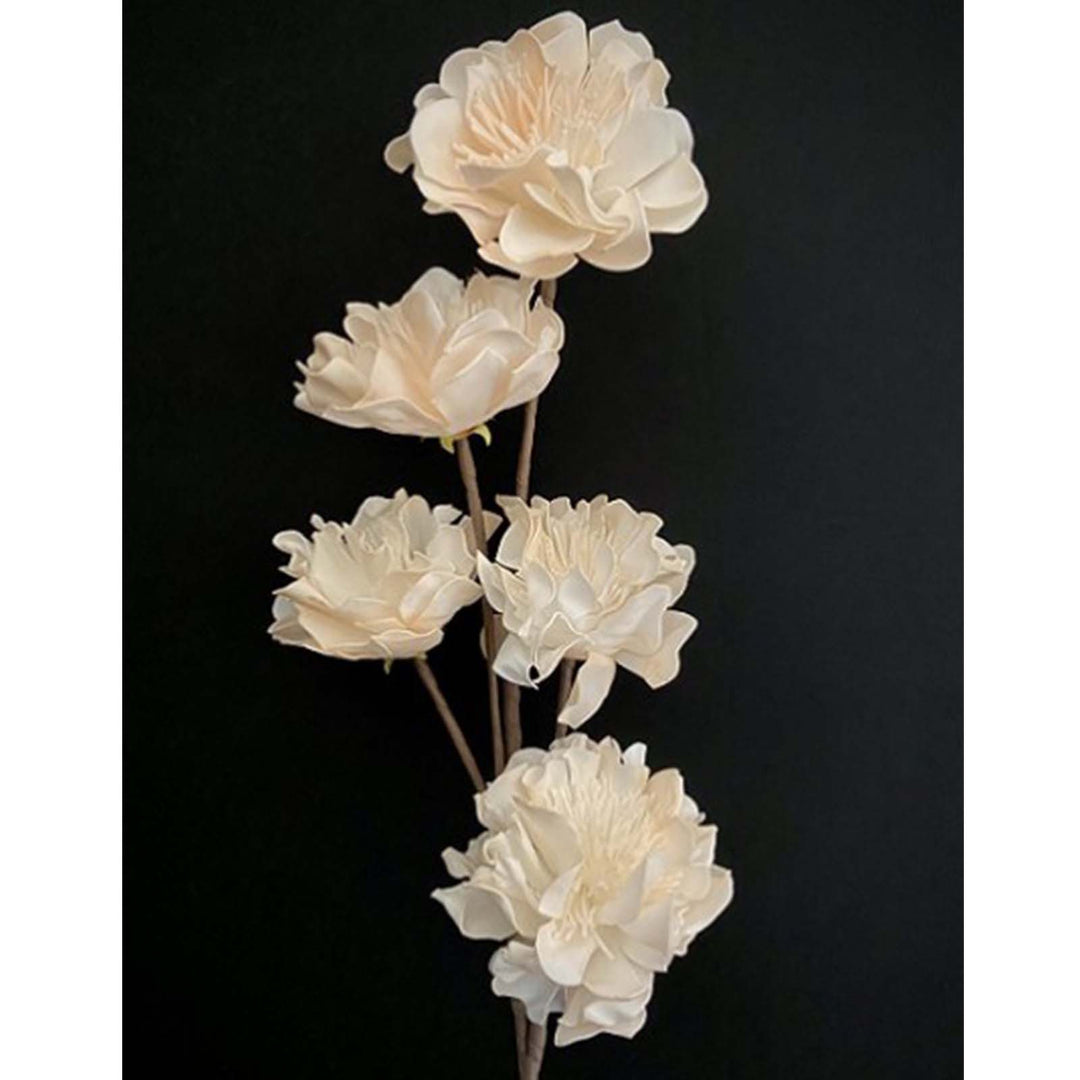 White Foam Flower