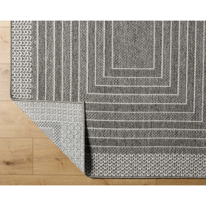 Aomi Outdoor Rug
