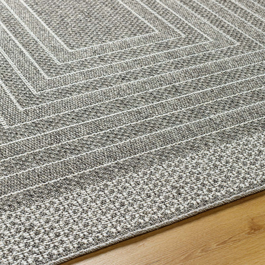 Aomi Outdoor Rug