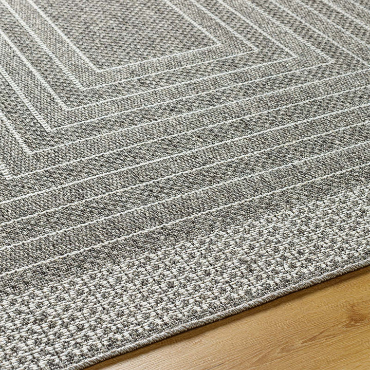 Aomi Outdoor Rug