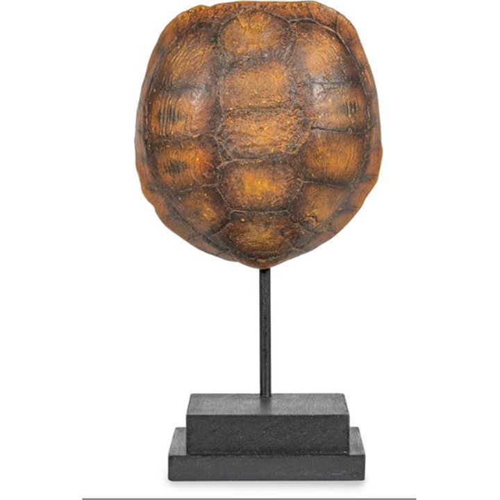 Faux Gopher Tortoise Shell