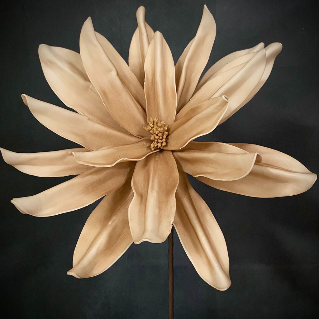 Foam Flower - Tan