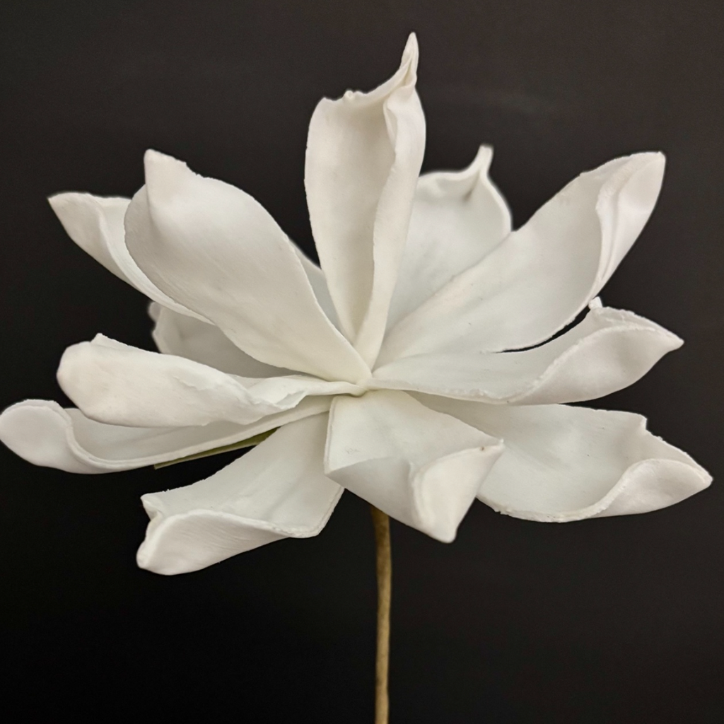 White Flower
