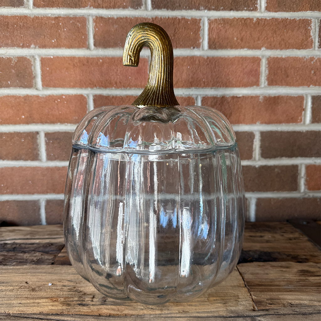 Pumpkin Terrarium
