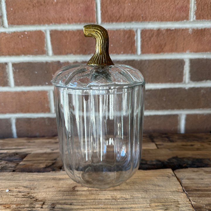 Pumpkin Terrarium