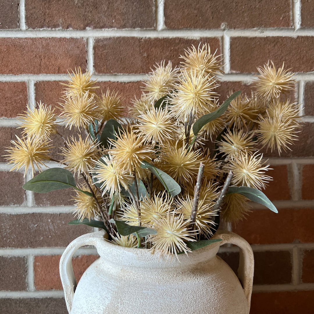 Cream Thistle Stem