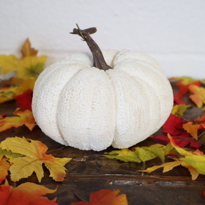 White Pumpkin - Small