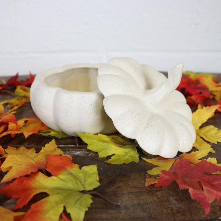 Pumpkin Container