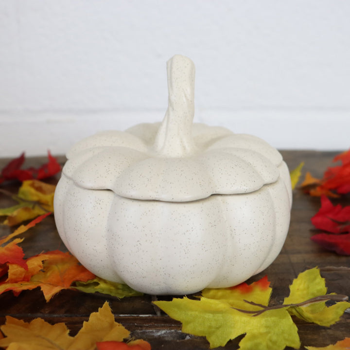 Pumpkin Container