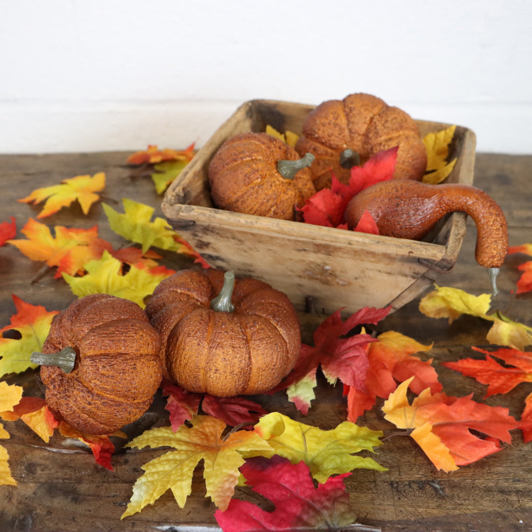 Orange Pumpkin & Gourd Set