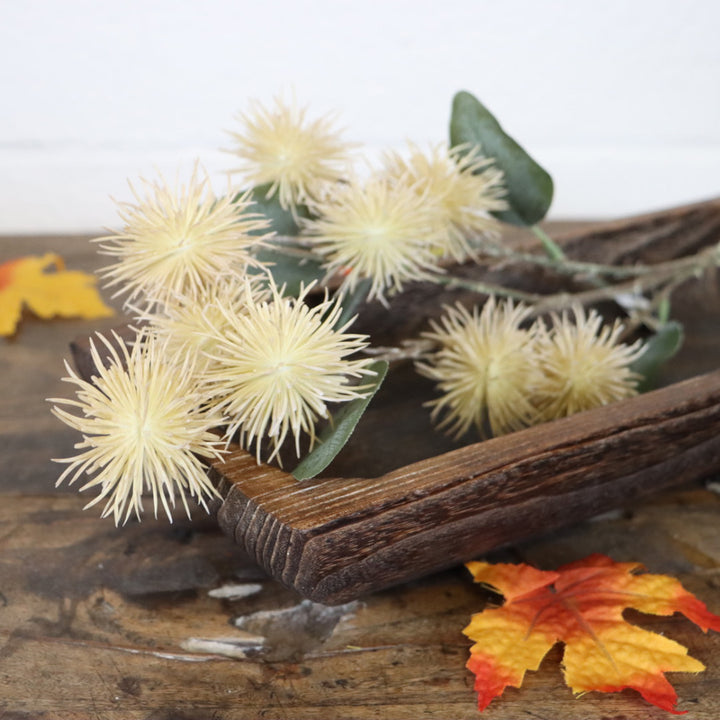 Cream Thistle Stem
