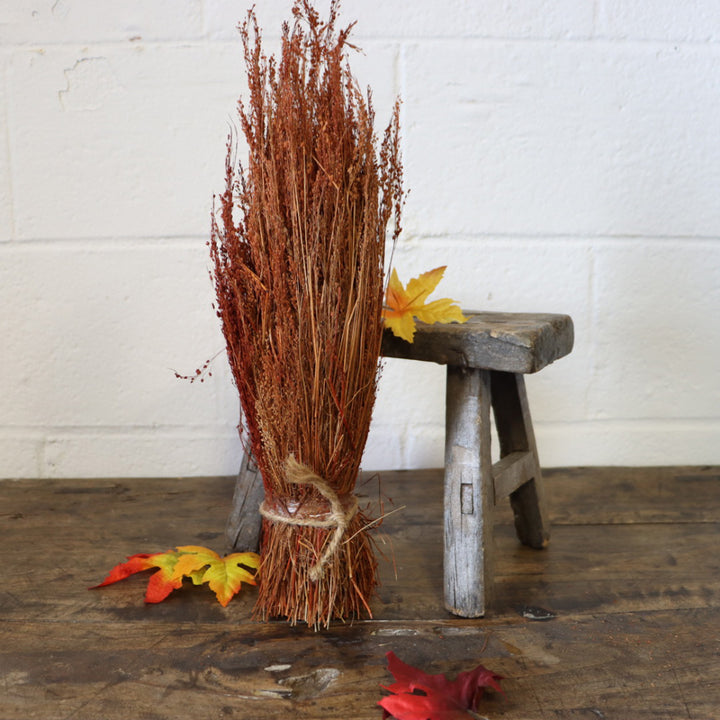 Natural Star Grass Bundle