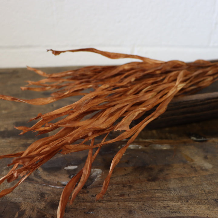 Dry Grass