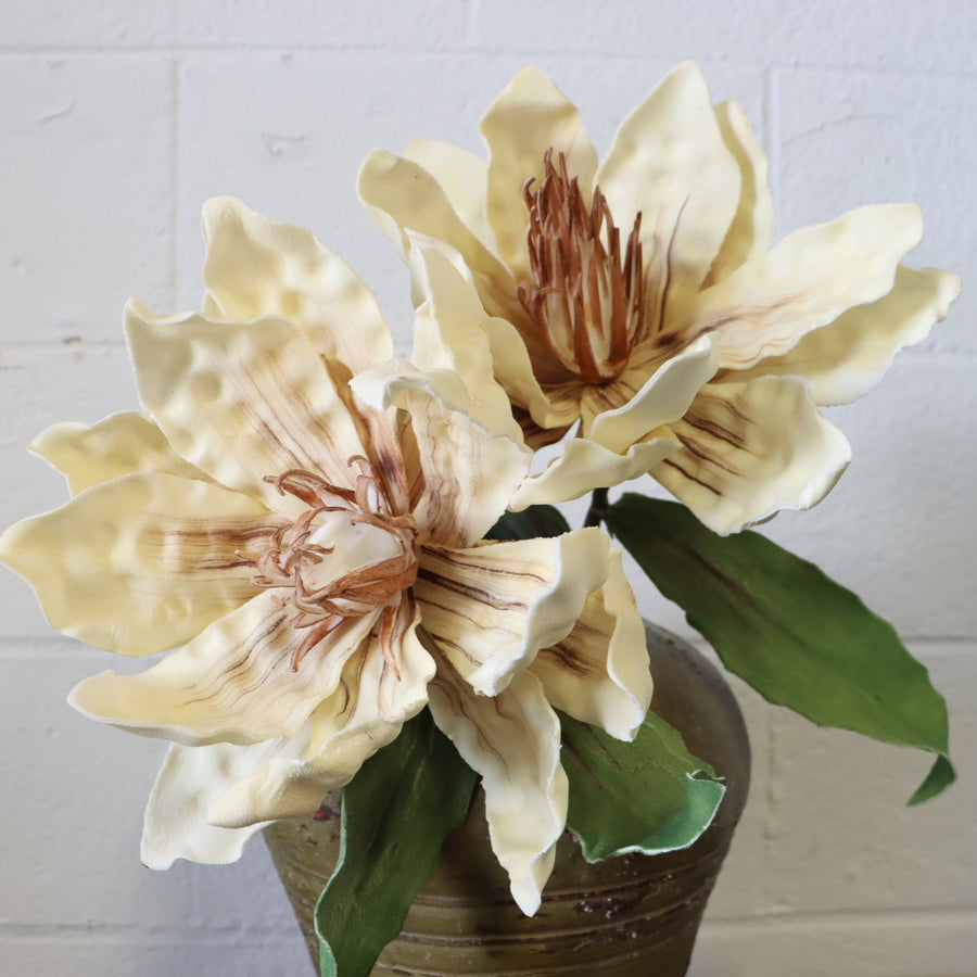 Two large beige flowers in a pot against a white brick wall.