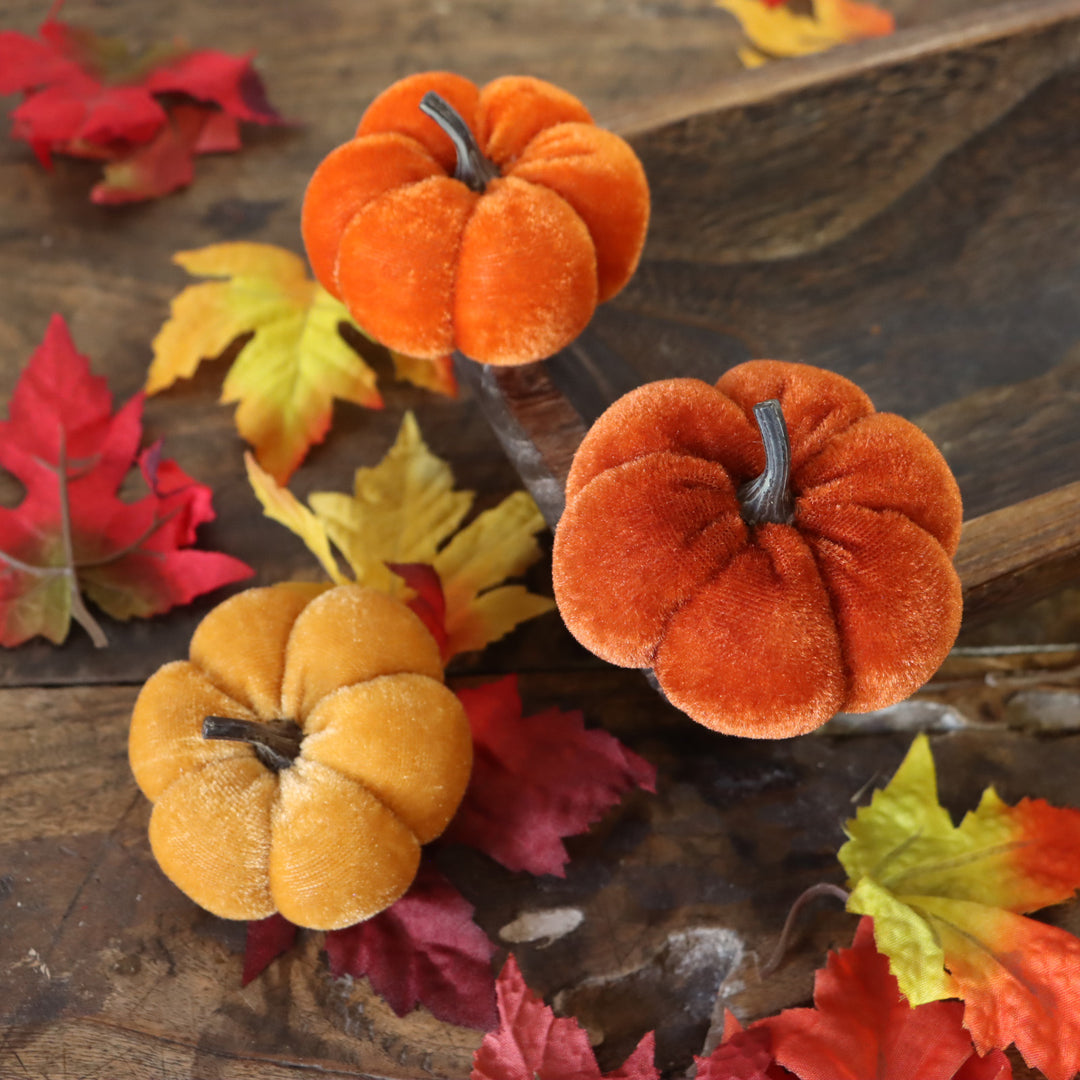 Mini Velvet Pumpkins - Multi
