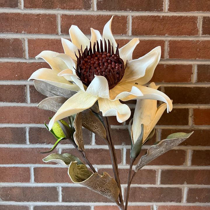 Botanica #2797