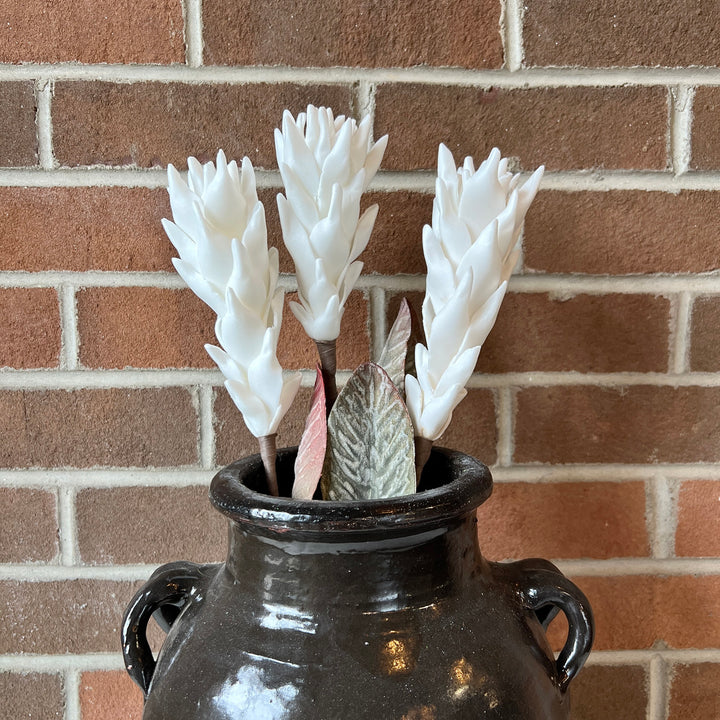Botanica #3584