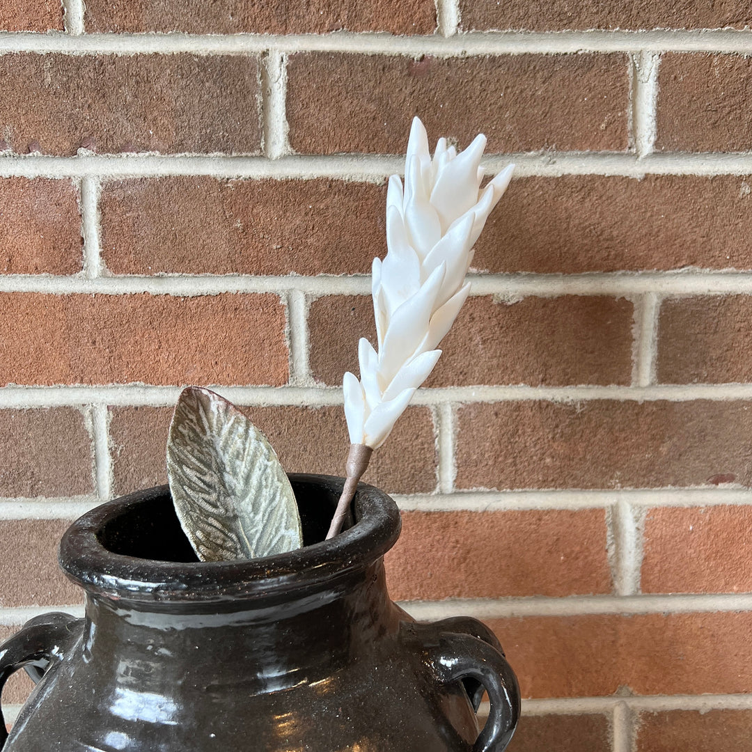Botanica #3584