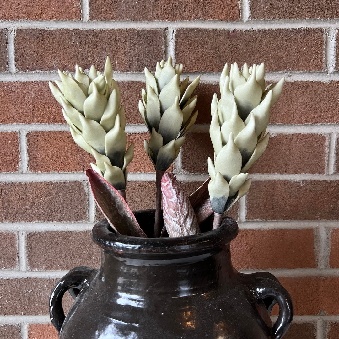 Botanica #3580