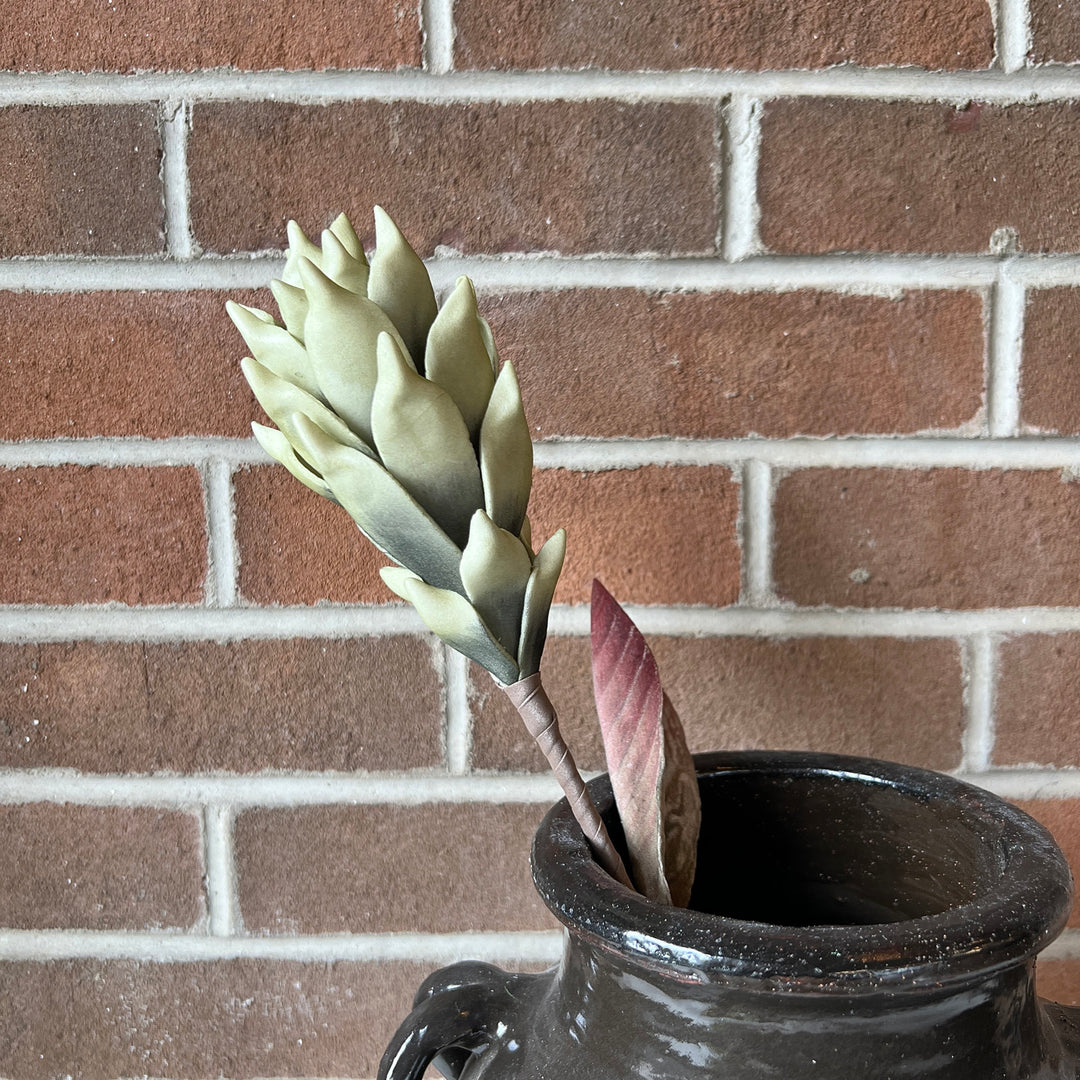 Botanica #3580