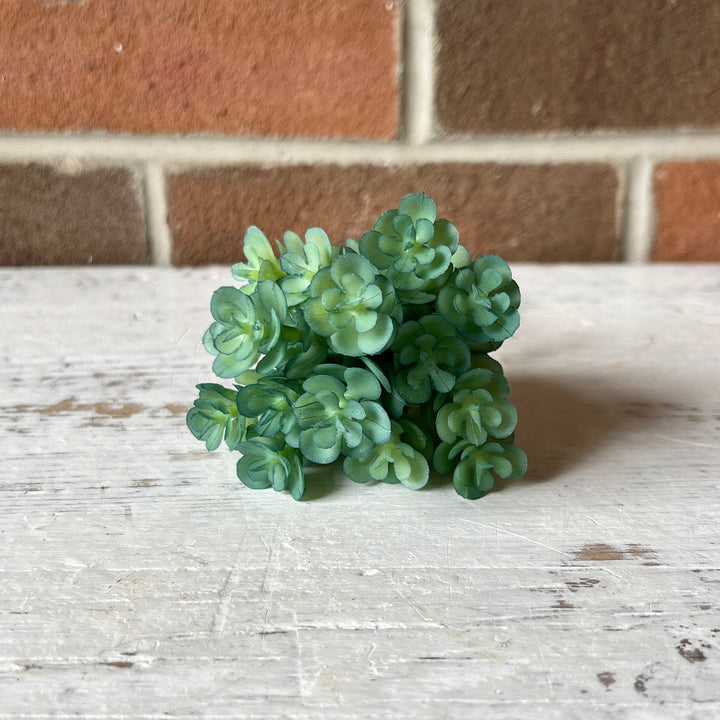 Soft Sedum Pick