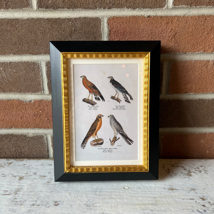 Andover Matted Frame